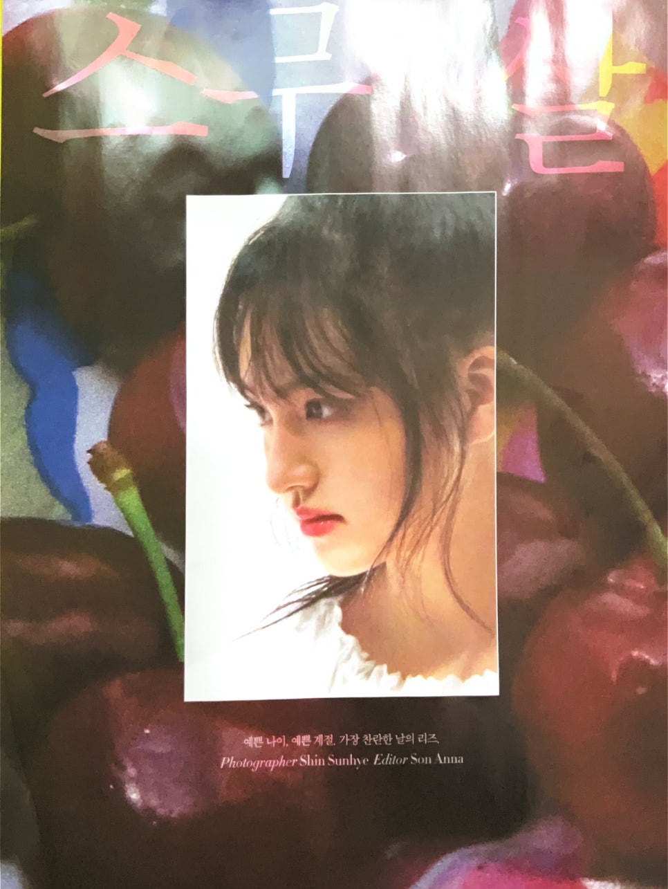 참조아 이미지