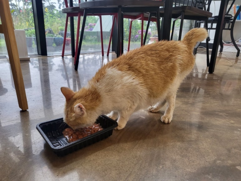 꽃담갤러리카페 이미지