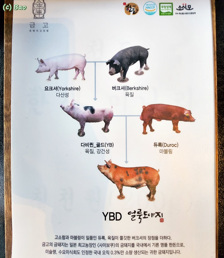 포항돼지찌개집 이미지