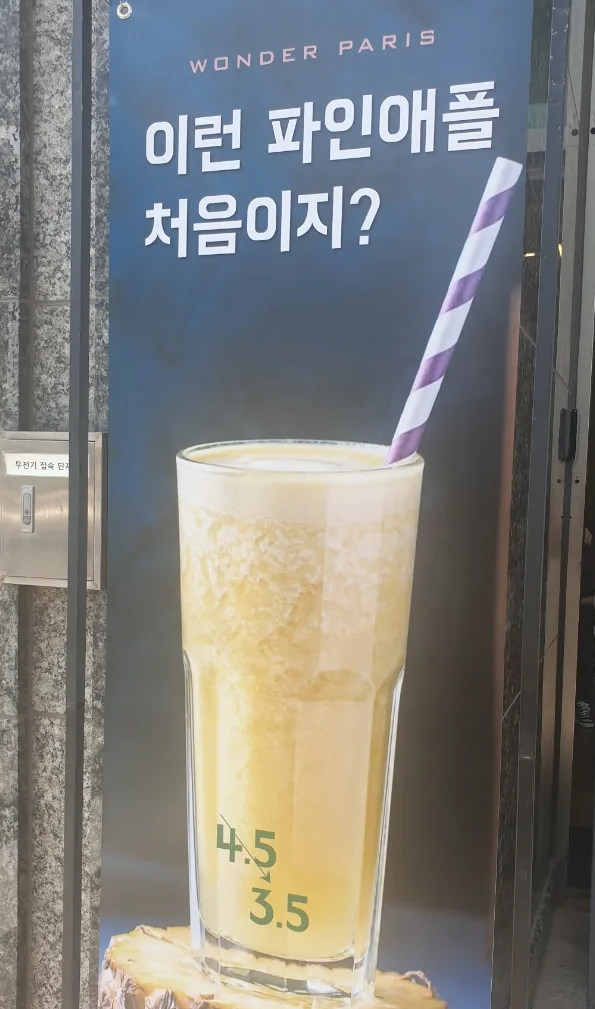 원더빠리 이미지