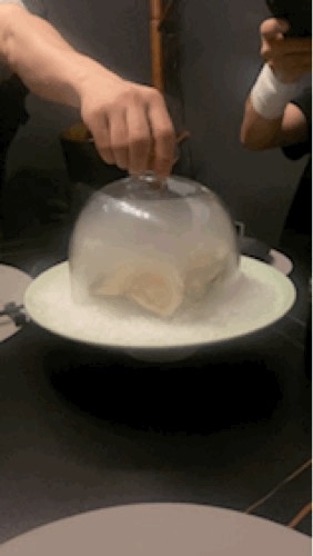 로바타화목 이미지