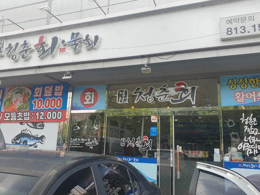 청춘회물회 이미지