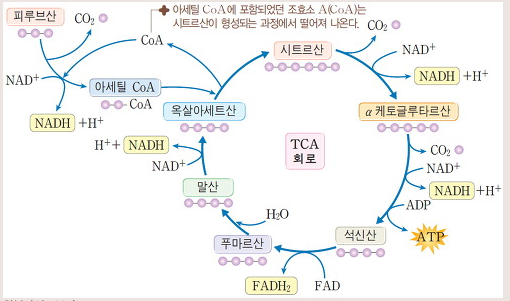 피트니스209 이미지