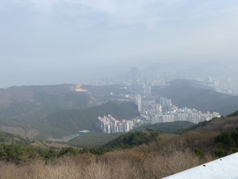 영동치킨 이미지