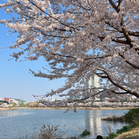우만동 족발집(송죽점) 이미지