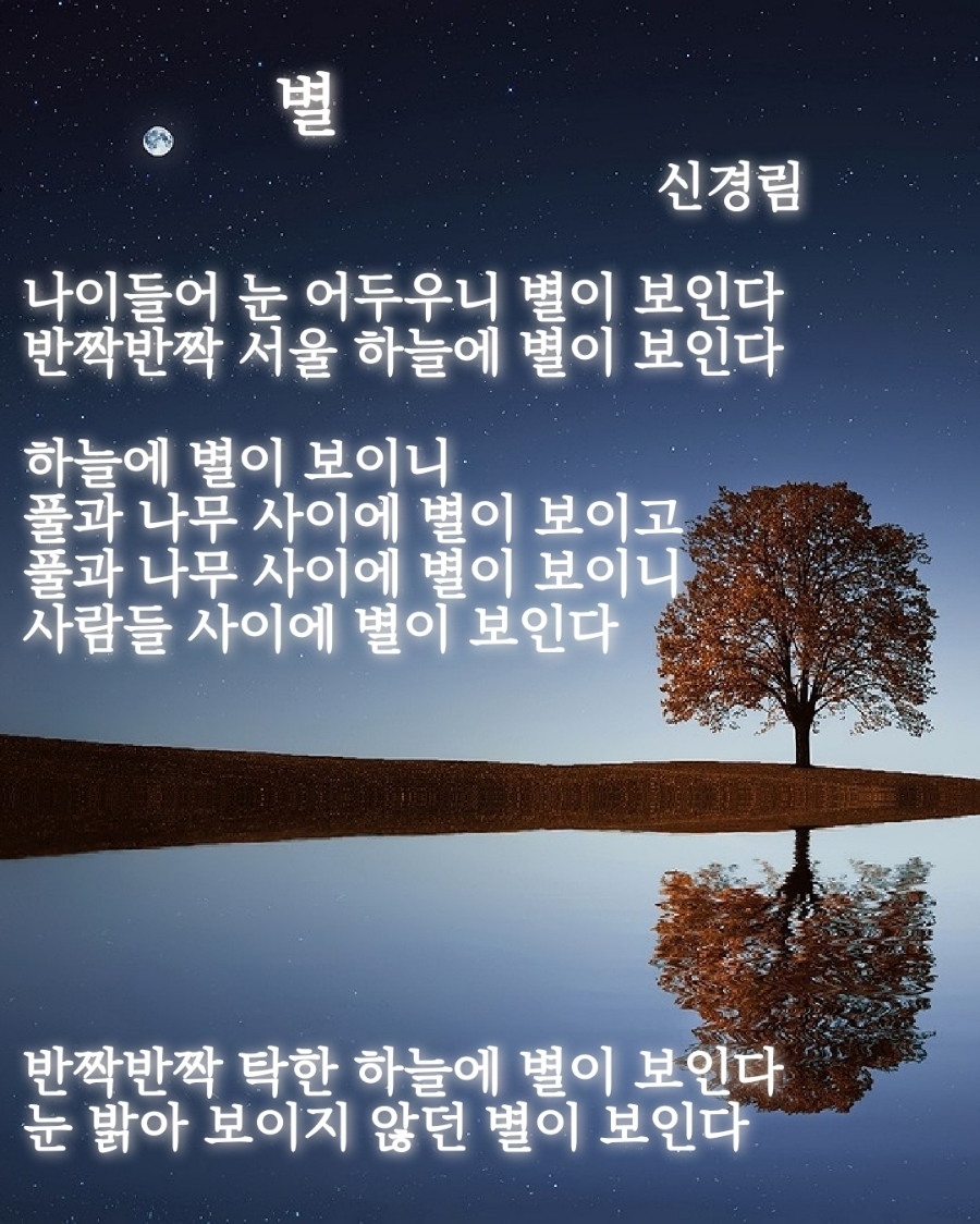 금란꽃 이미지