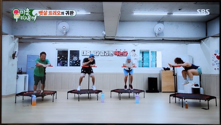 루비점핑다이어트 이미지