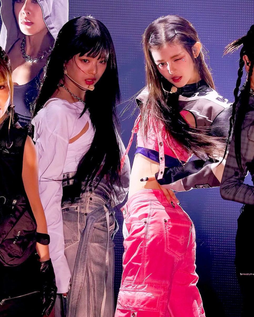 참조아 이미지
