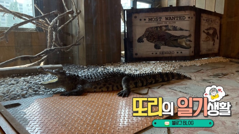 엉클슈즈 이미지