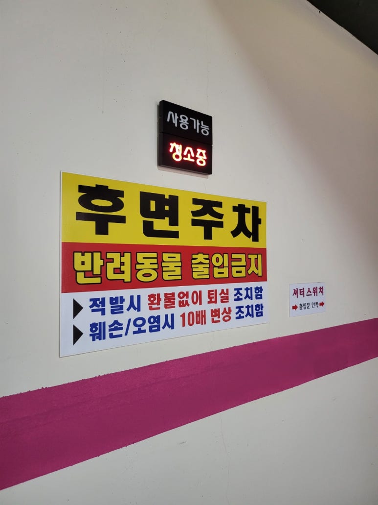 아모르무인텔 이미지