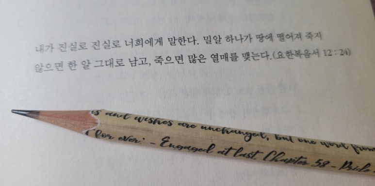 일류사 이미지