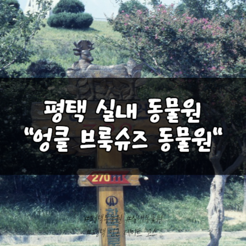 엉클슈즈 이미지