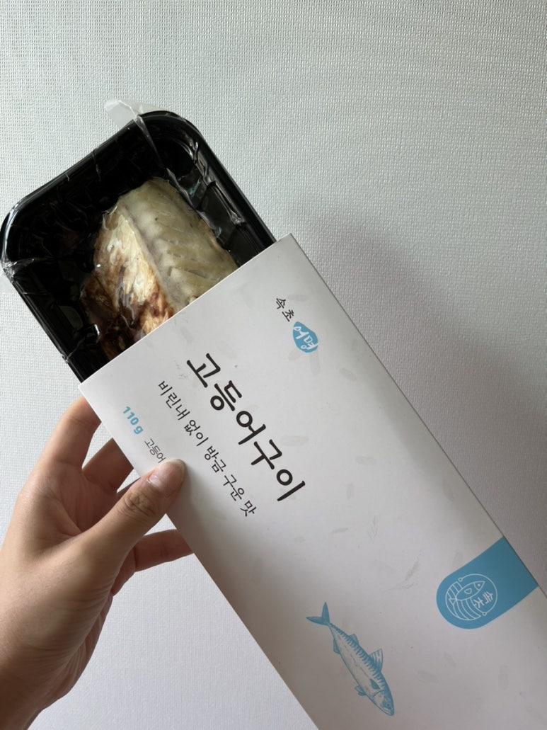 속초어명 이미지