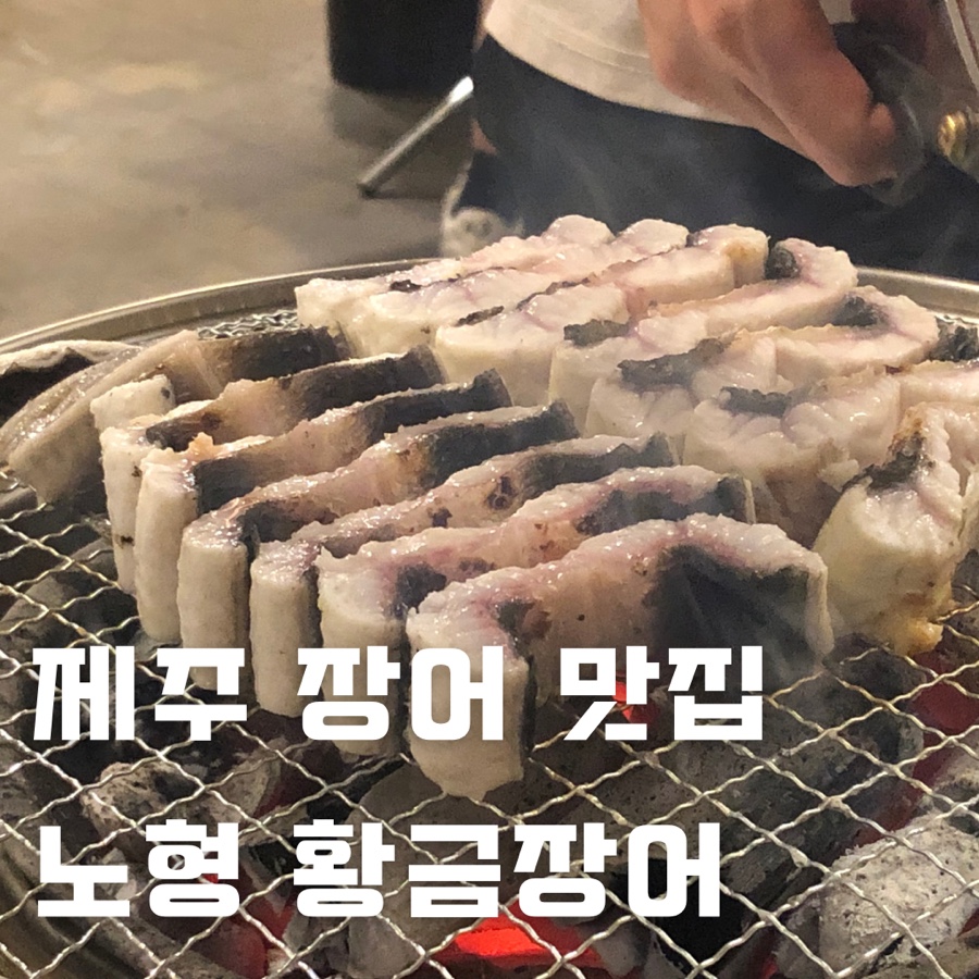 제주황금장어 이미지