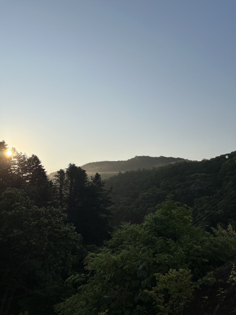 귤방 이미지