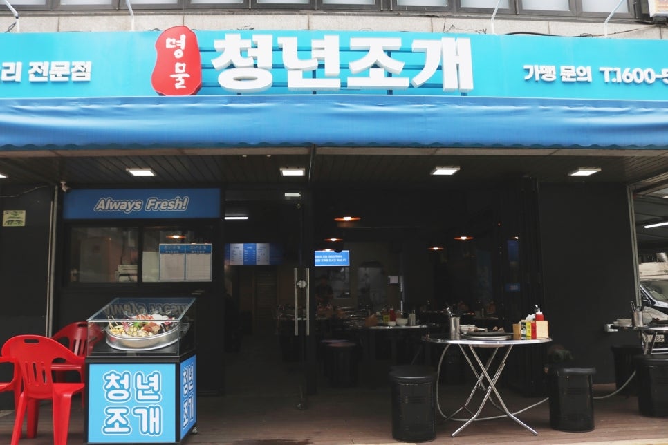 청년조개 이미지