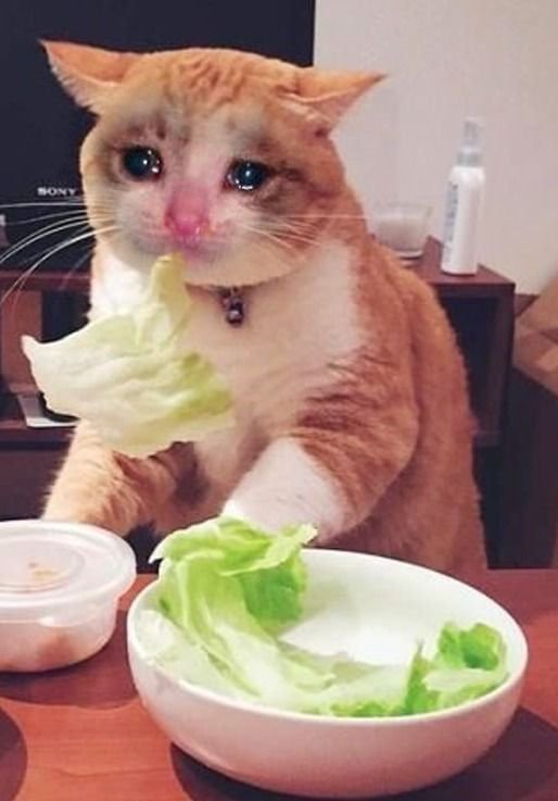 자담치킨강서 이미지