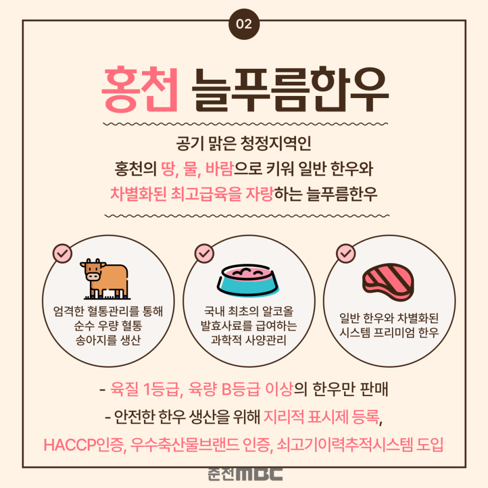 늘푸름개발 이미지