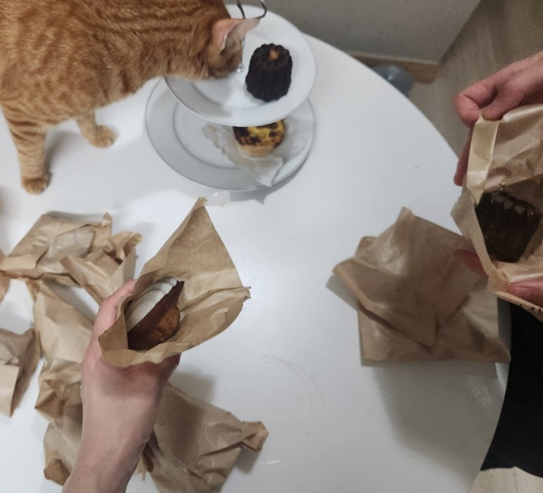 삼냥이디저트 이미지