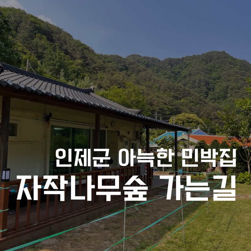 자작나무숲민박 이미지