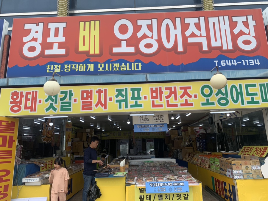 경포배오징어 이미지