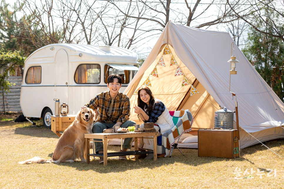 재단법인 울산문화관광재단 이미지