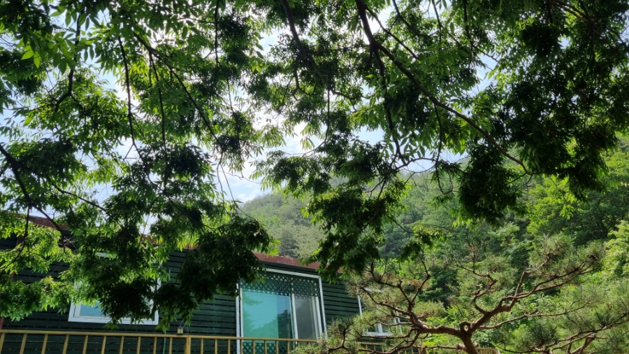 초계탕막국수 이미지