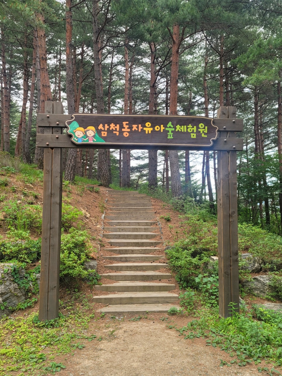 삼척동자 유아숲체험원 이미지