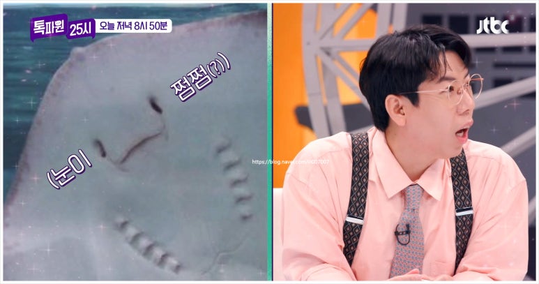 화산홍어 이미지