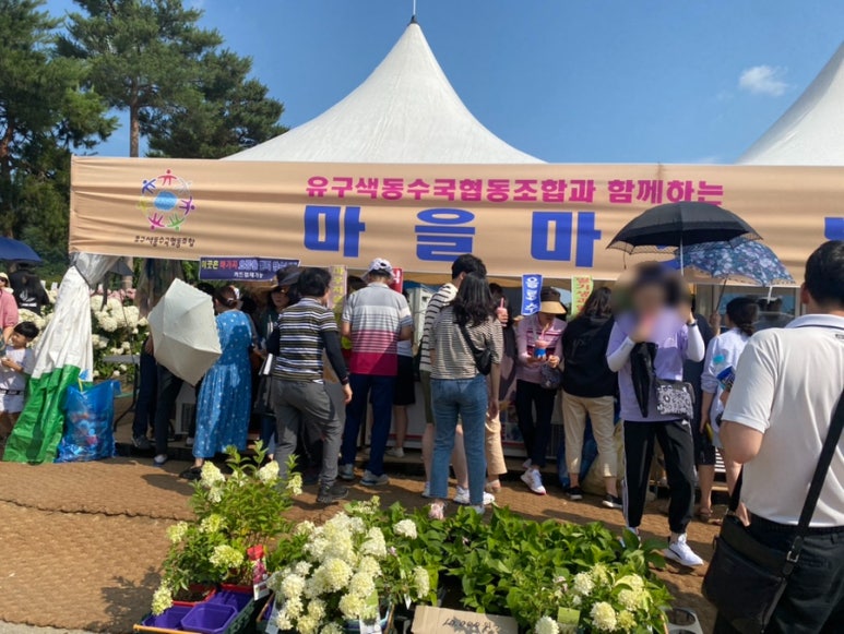 유구색동수국협동조합 이미지