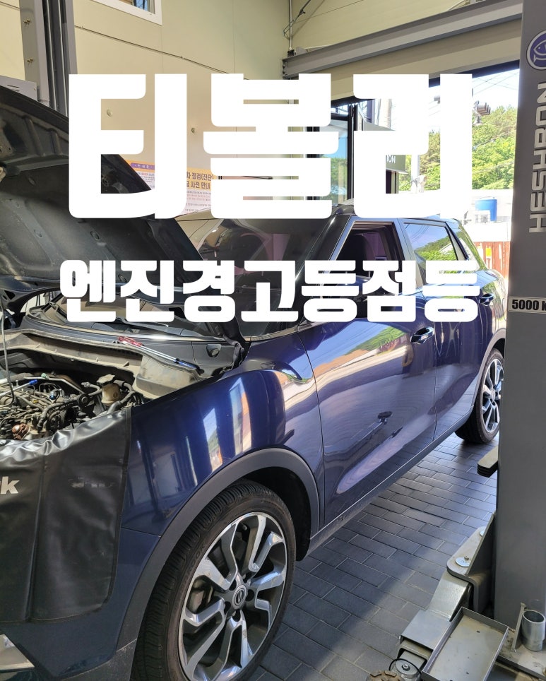 바이드핸더 이미지