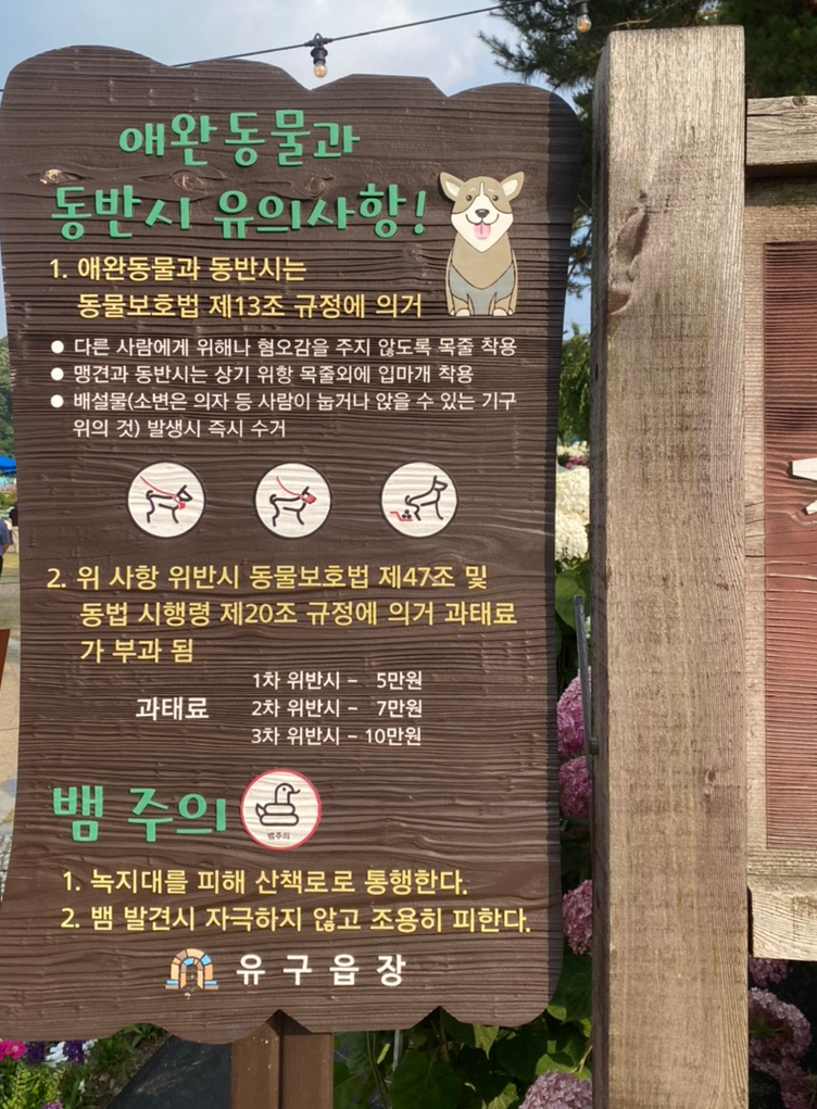 색동빈 이미지