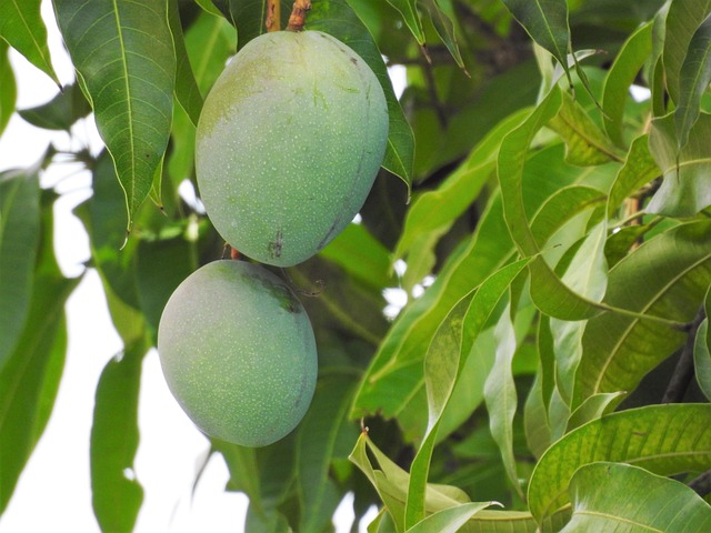 신송산업(주) 이미지