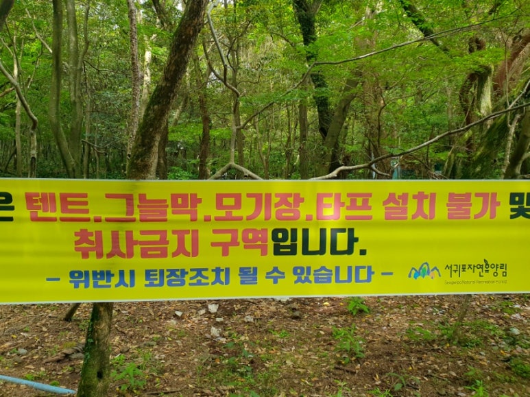서귀포자연휴양림야영장 이미지