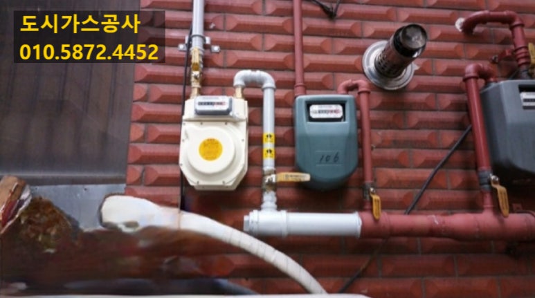 가락가스 이미지