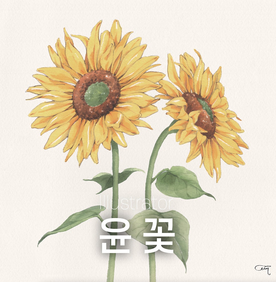 수정꽃화원 이미지