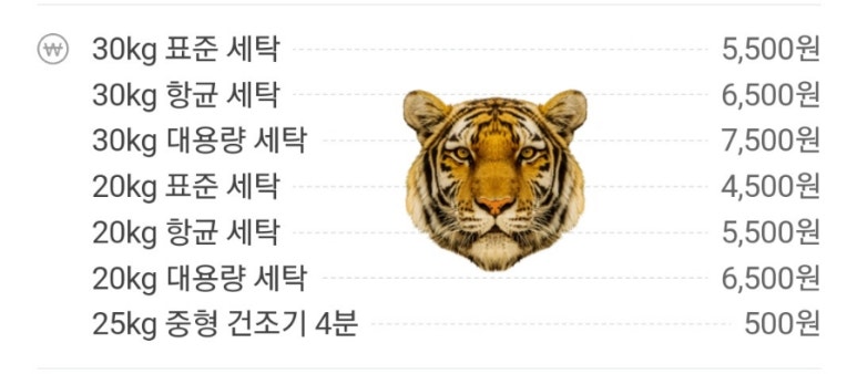 _런드리익스프레스샵 이미지