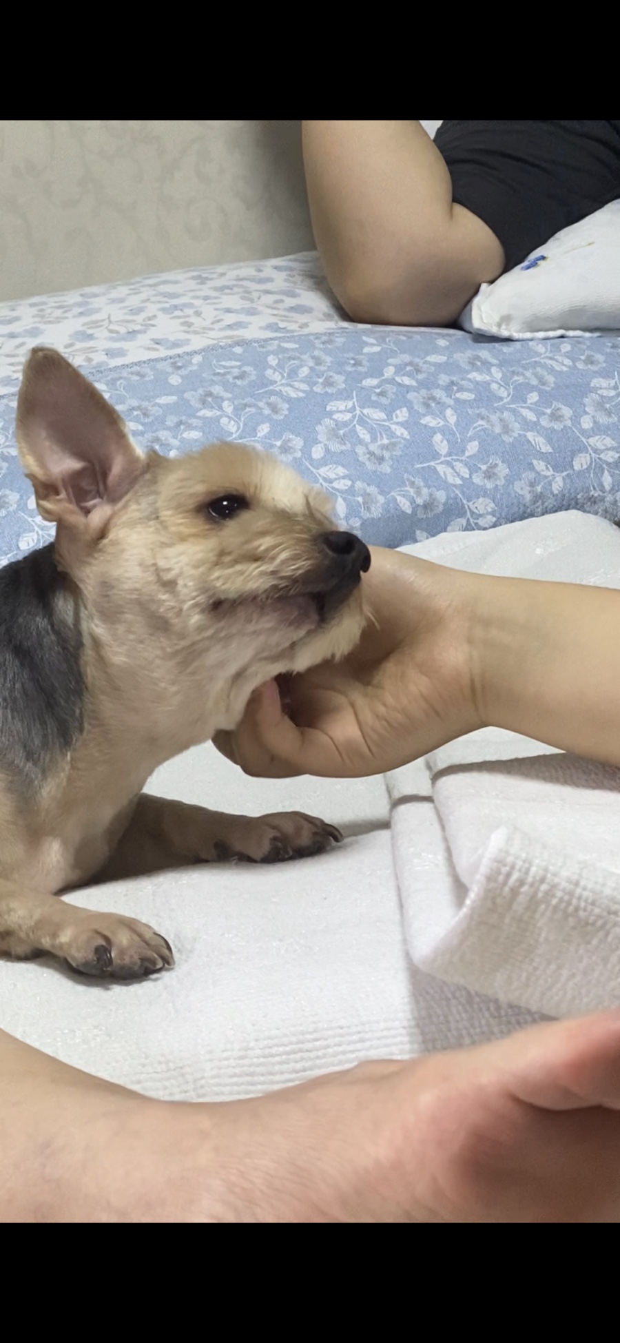 향촌동생고기육회 이미지