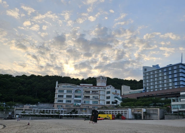 하늘장 이미지