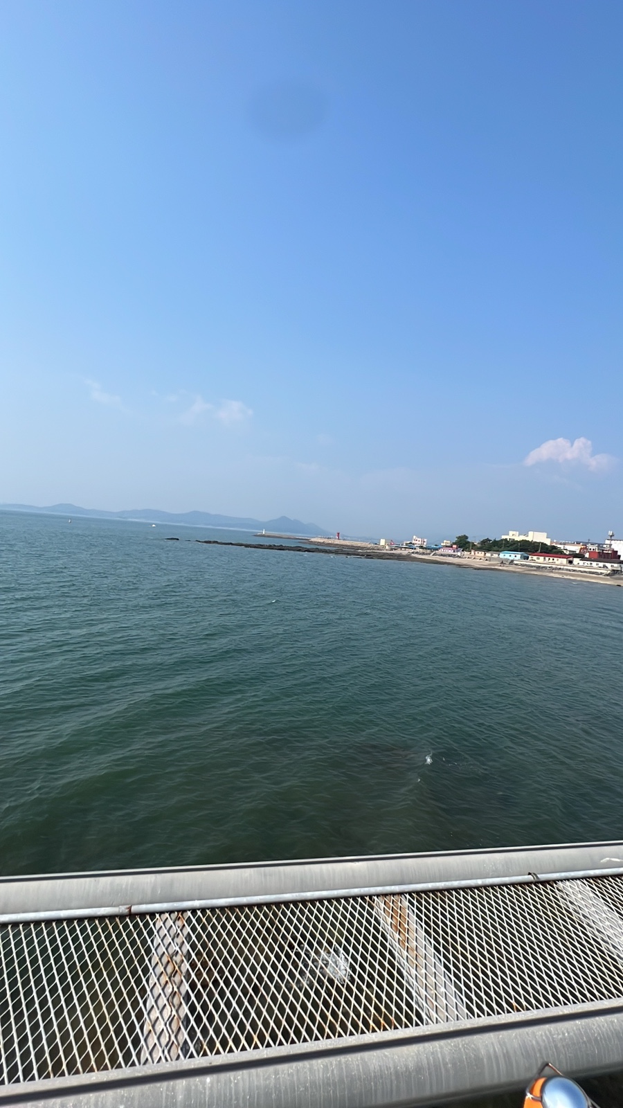 대천해수욕장 스카이바이크 이미지
