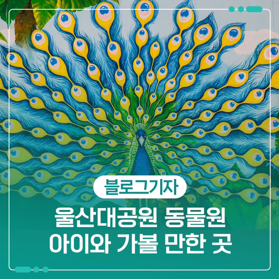 동물원아이 이미지