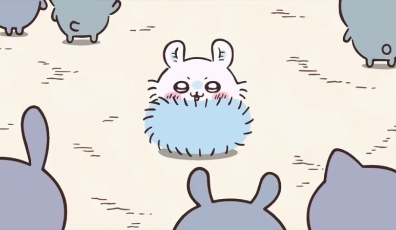 모몽가 이미지