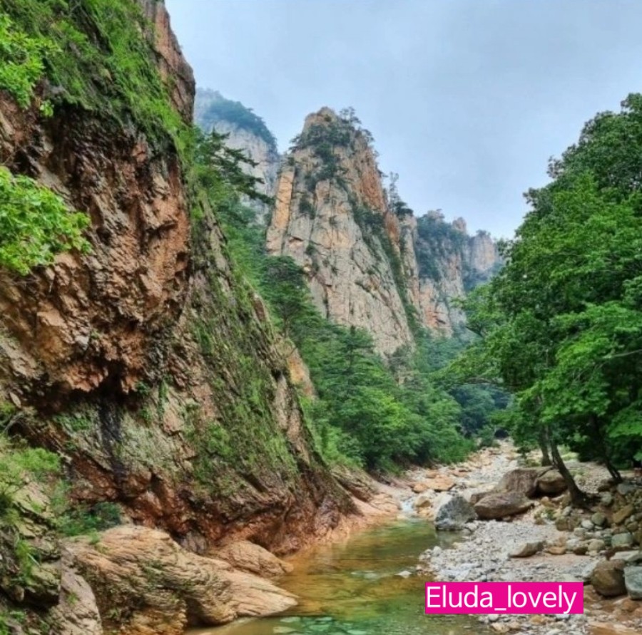 오색산새소리캠핑장 이미지