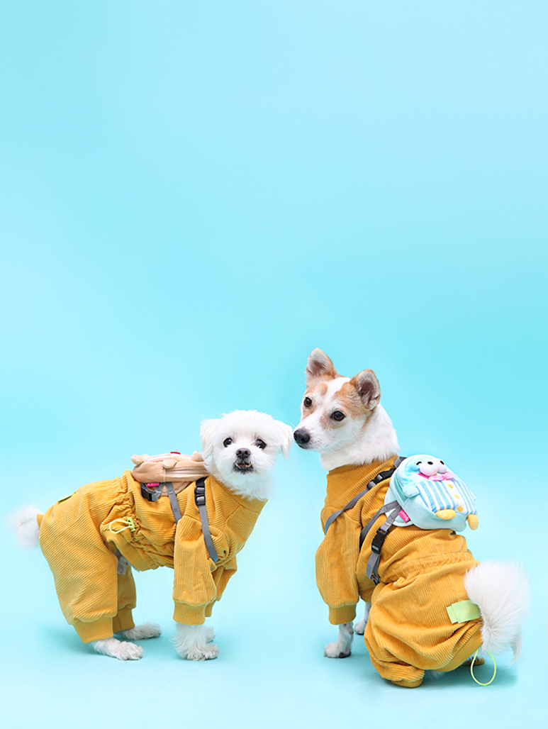 열두달사진관 이미지