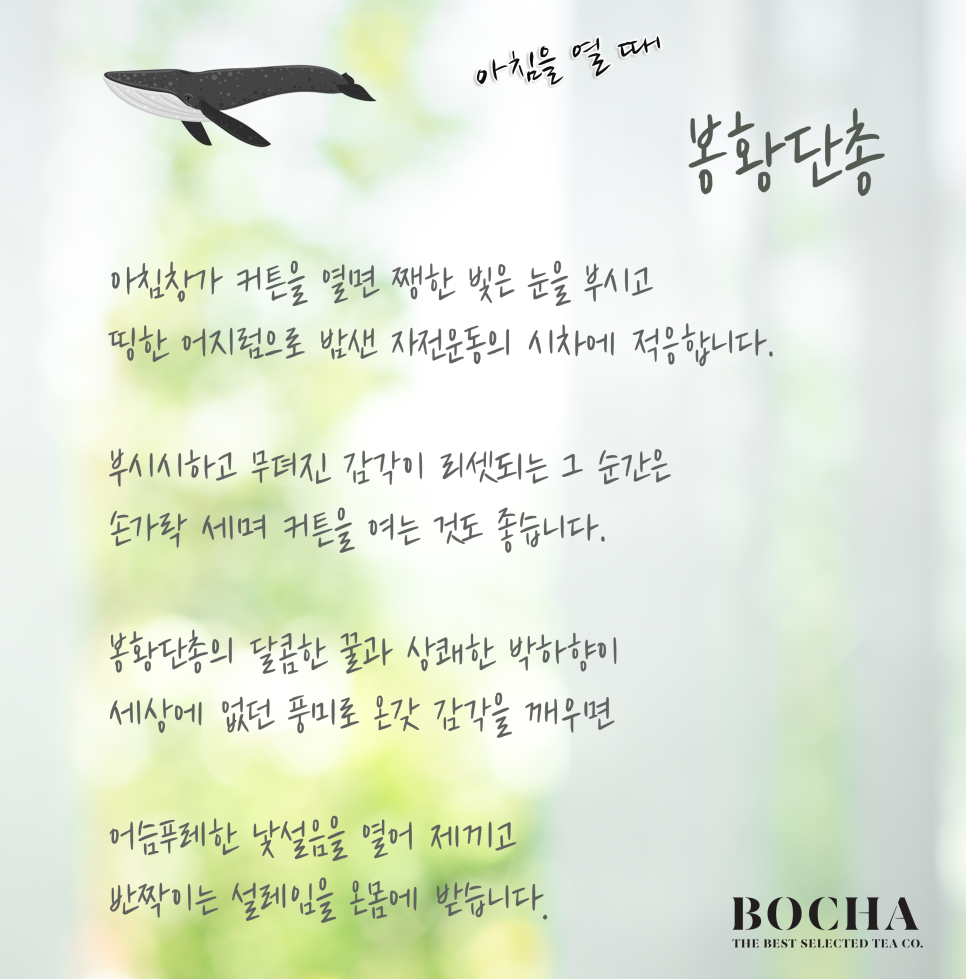 봉황광고 이미지