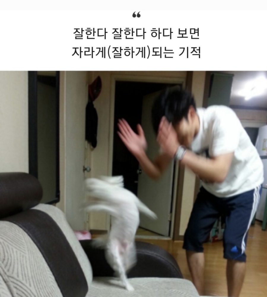 청담그롬 이미지