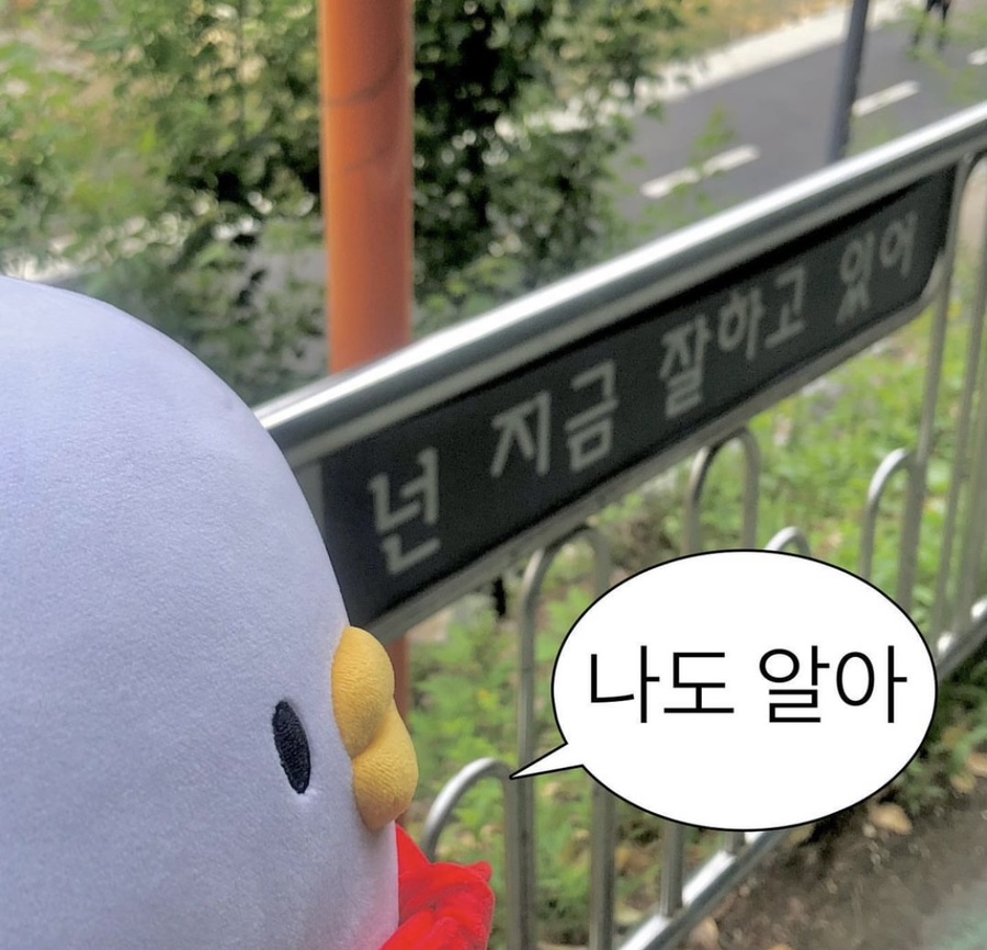 타임호프 이미지