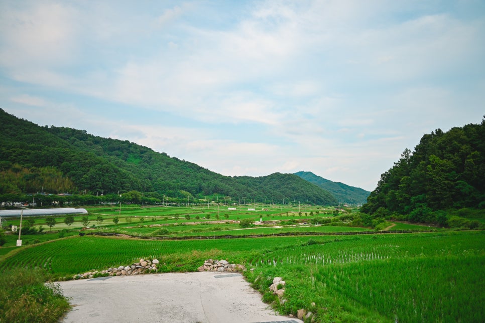 다시캠핑장 이미지