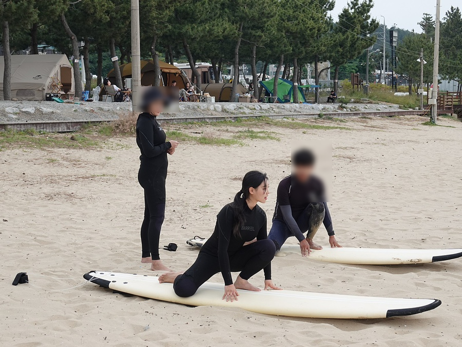 망고서프 이미지