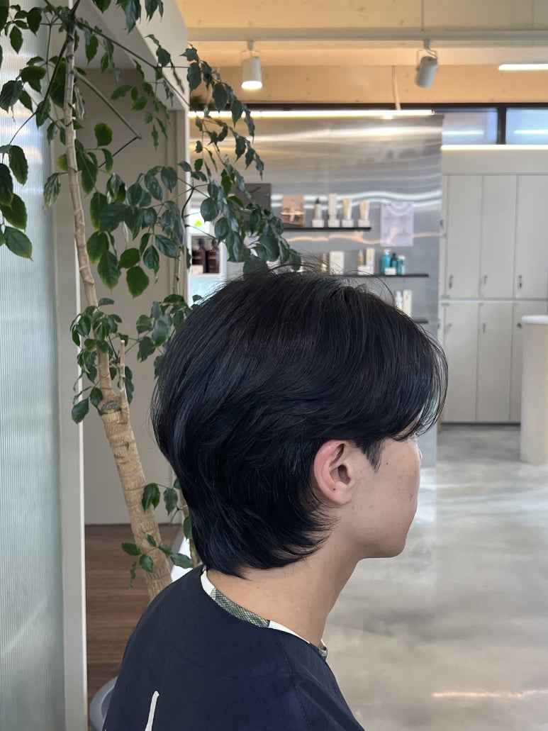 프로디헤어 이미지